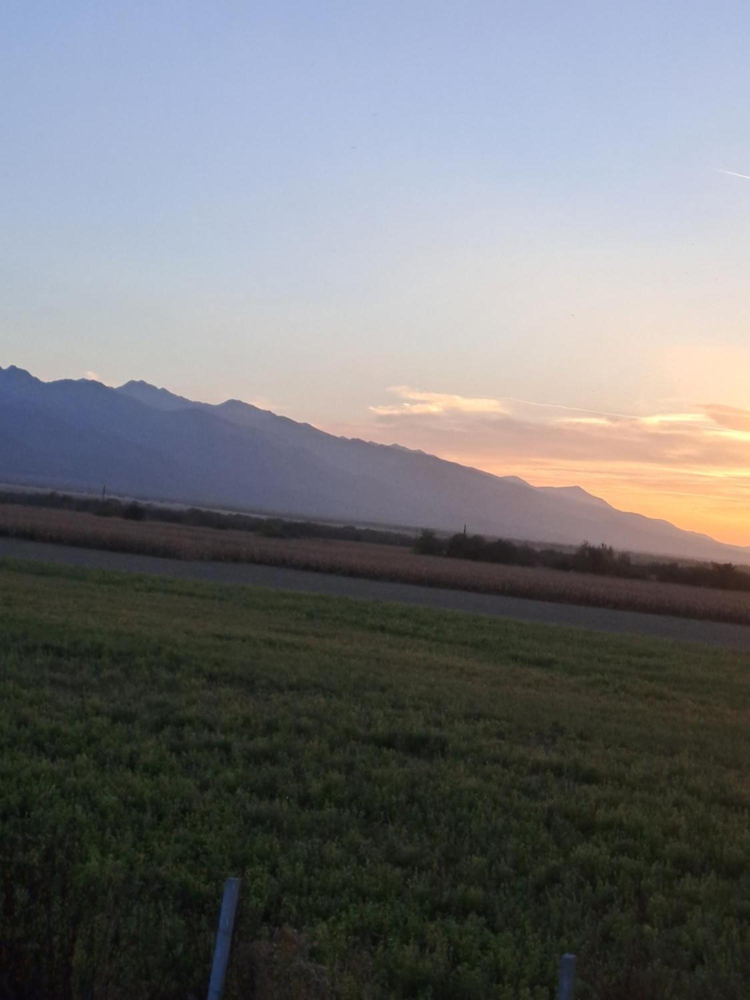 La Izvoare Pensiune-Pastravarie Simbata de Sus Exterior photo